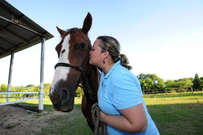Estudo comprova que cavalos reagem a emoes humanas